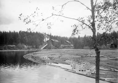 Ångsågen