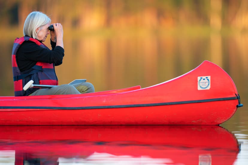 Participant au safari castor regardant à travers des jumelles un castor nageant dans le lac lors d'un safari castor en Suède avec Nordic Discovery.