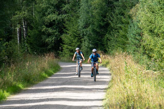 Un couple profite d'une balade à vélo dans la Réserve Naturelle de Malingsbo-Kloten.