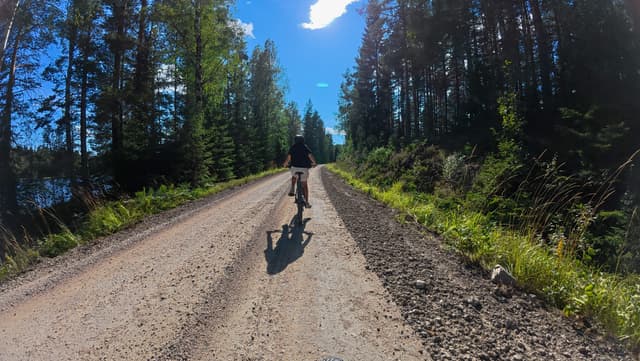 Un enfant fait du vélo le long d'un sentier forestier dans la Réserve Naturelle de Malingsbo-Kloten.
