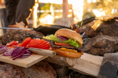 A delicious burger freshly made on a campfire with some vegetables on the side, sunshine in the background and smoke from the fire.