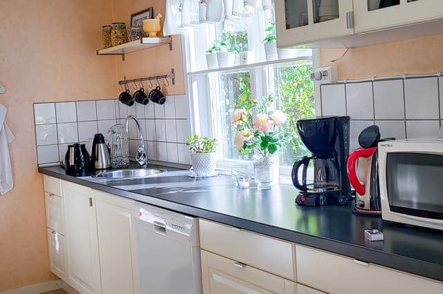 Kök med solljus som kommer in genom fönstret i vildmarksstugan. Köksapparater står på bänken.
