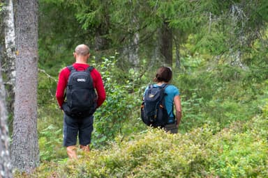 A couple hiking in the Malingsbo-Kloten Nature Reserve in Sweden.