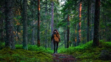 A girl wondering in the deep forest in the Malingsbo-Kloten Nature Reserve in Sweden.