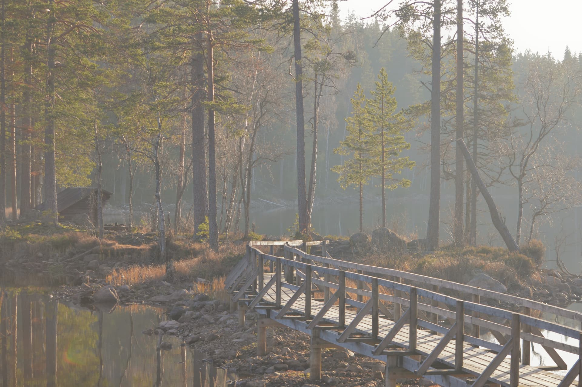 Hiking over a bridge in the Swedish wilderness with Nordic Discovery.