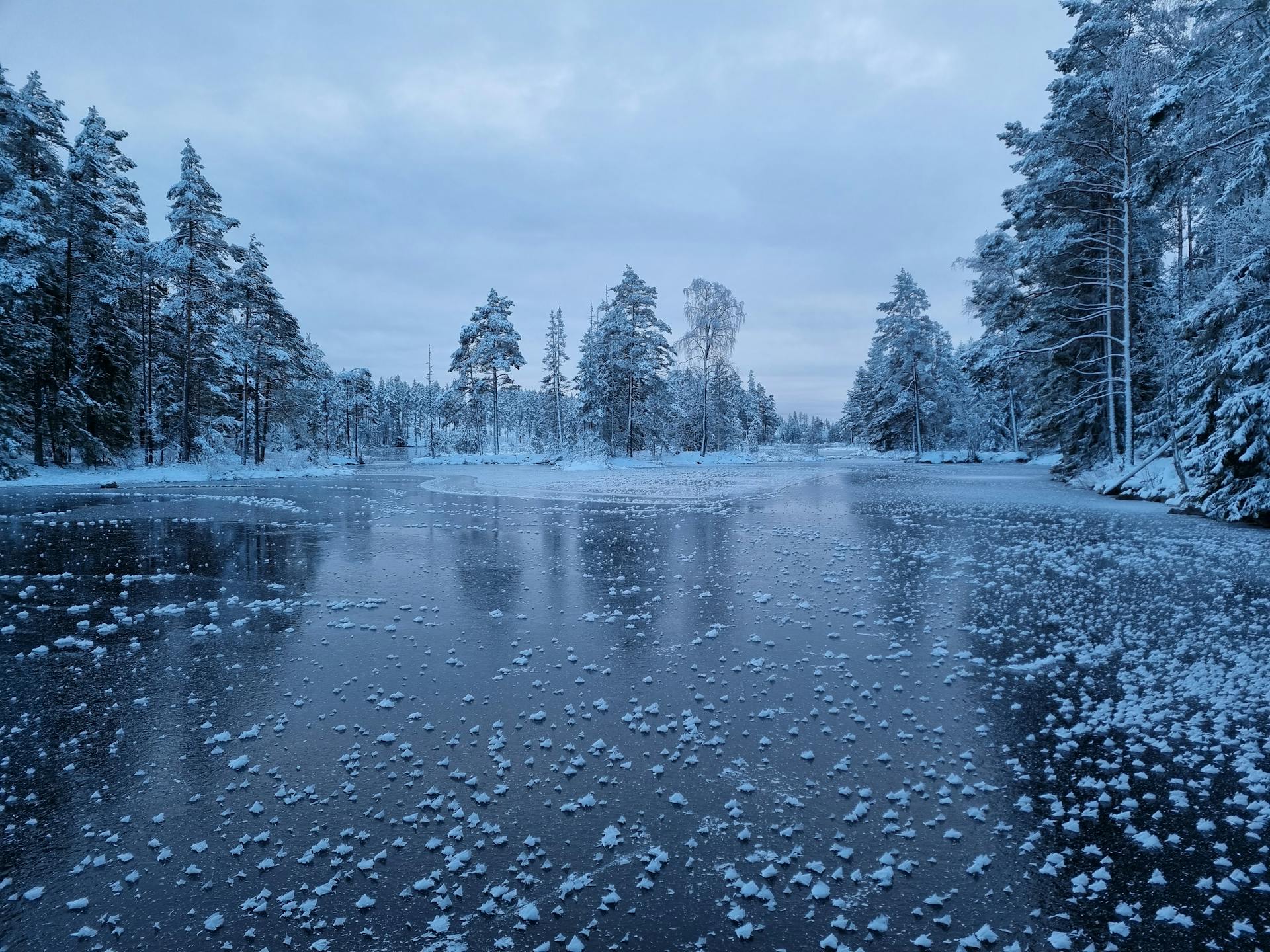 Un paisaje helado hipnotizante con hielo suave en un lago y árboles cubiertos de nieve.