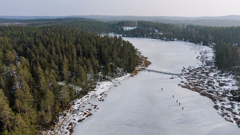 Flygfoto av en frusen sjö med en smal träbro och fem personer som åker eller går på isen intill en tät tallskog.