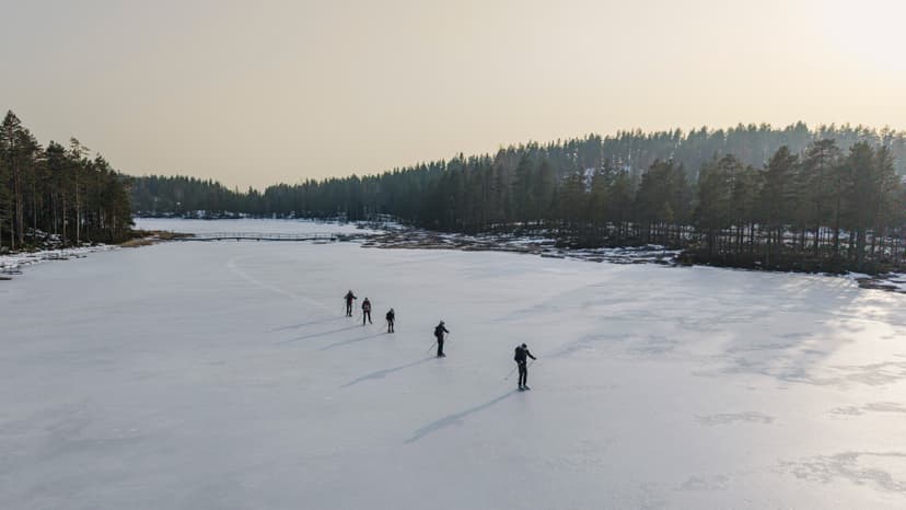Cinq personnes patinent en file sur un large lac gelé avec des bâtons, une forêt de pins et un petit pont en bois au loin.