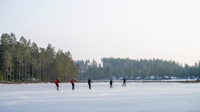 Cinq personnes patinent en file sur un lac gelé avec des bâtons, une rive boisée de pins et un petit pont en bois au loin.