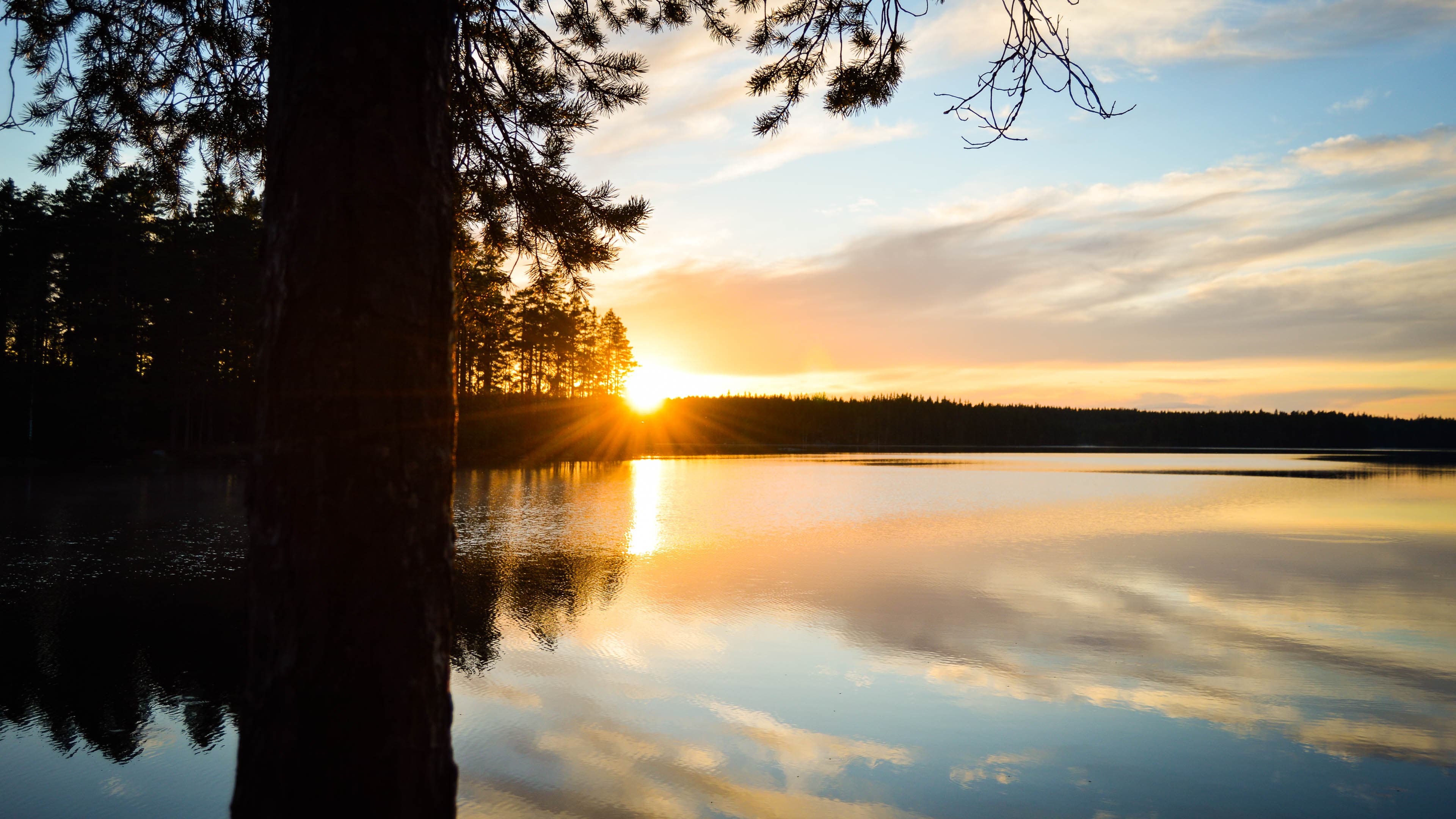 Il sole tramonta su un lago calmo, i suoi raggi dorati si riflettono sull'acqua. Un albero in primo piano incornicia la scena serena, e il cielo è dipinto con nuvole soffici e colori caldi.