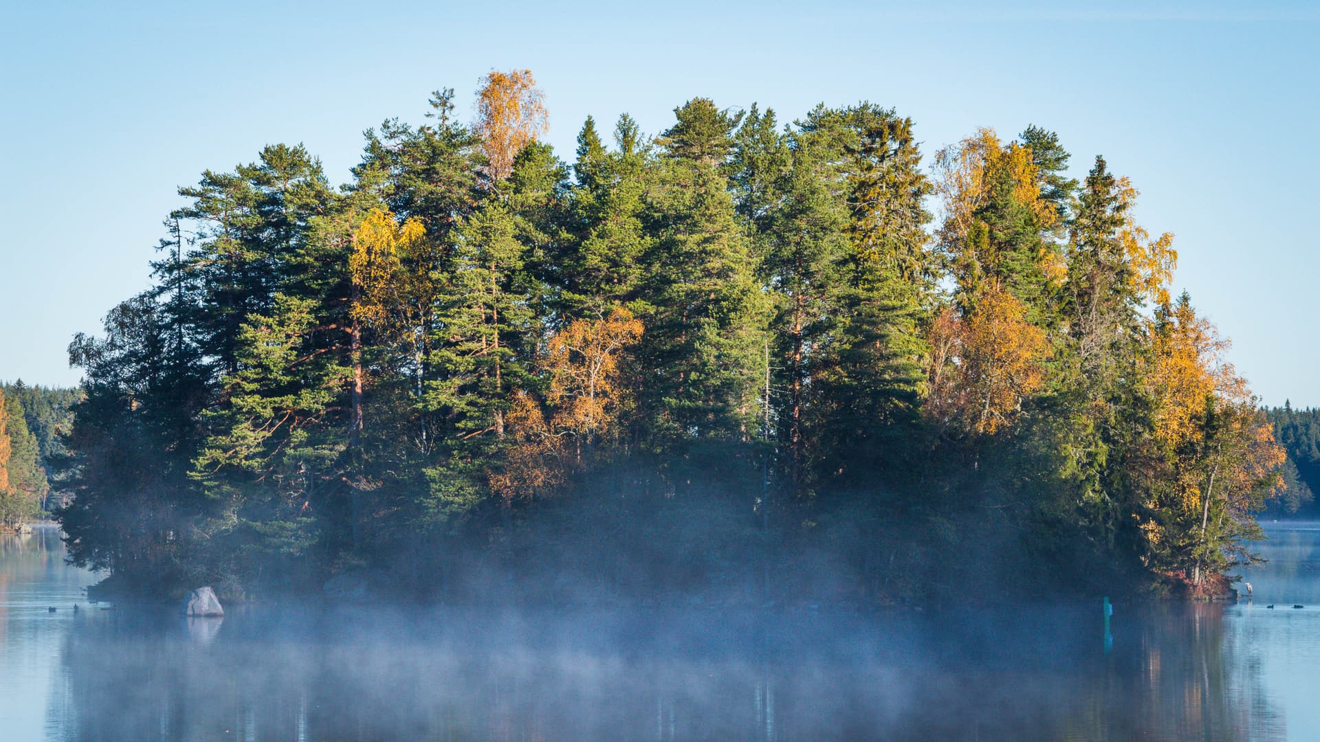 Eine kleine, baumbedeckte Insel inmitten eines ruhigen Sees, mit morgendlichem Nebel, der vom Wasser aufsteigt. Die Bäume zeigen eine Mischung aus grünen und herbstlichen Farben, was eine malerische Szene schafft.