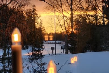 La vue depuis la fenêtre de la chambre appelée le Orignal à Wilderness Lodge.