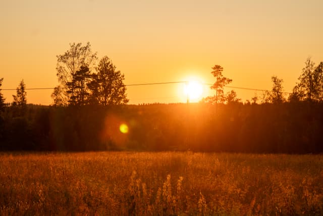 Sunset over field at Bear Hill Ranch