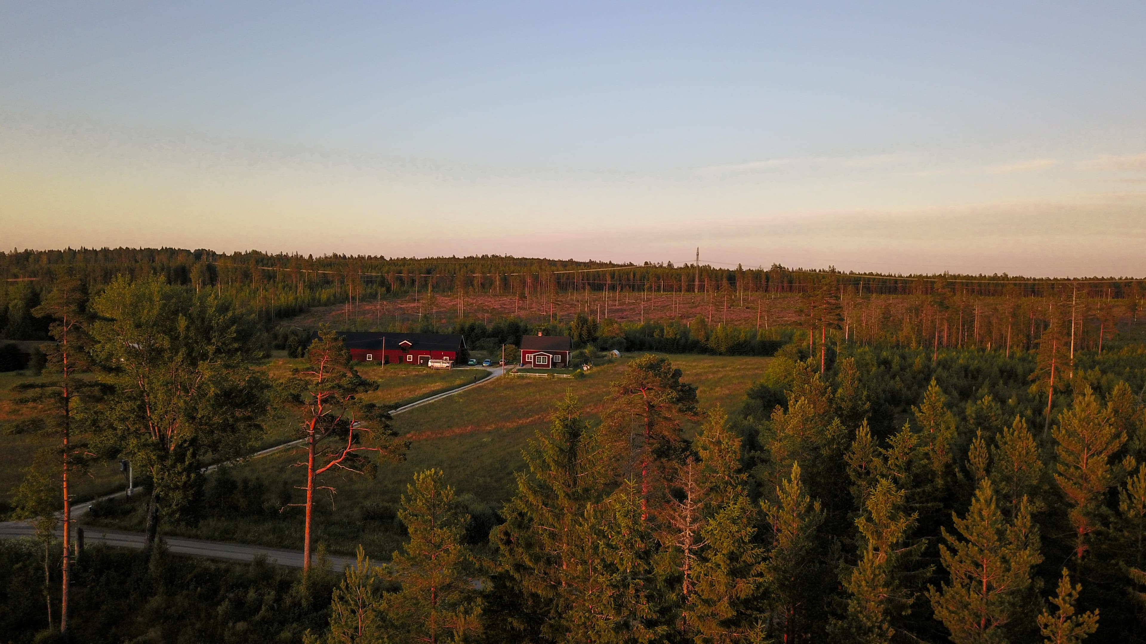 Arbres au Bear Hill Ranch