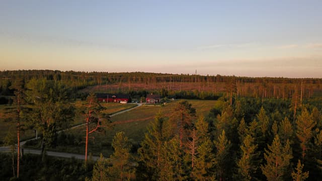 Trees at Bear Hill Ranch