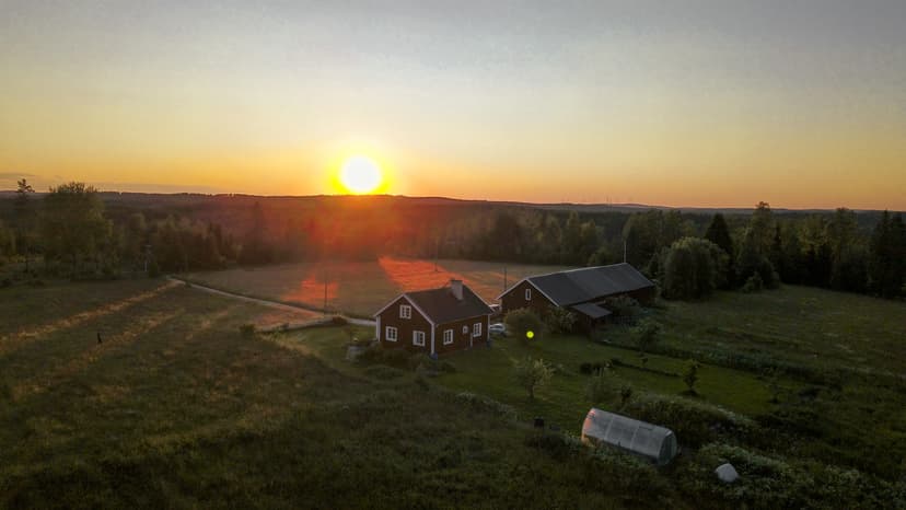 Vue du Bear Hill Ranch