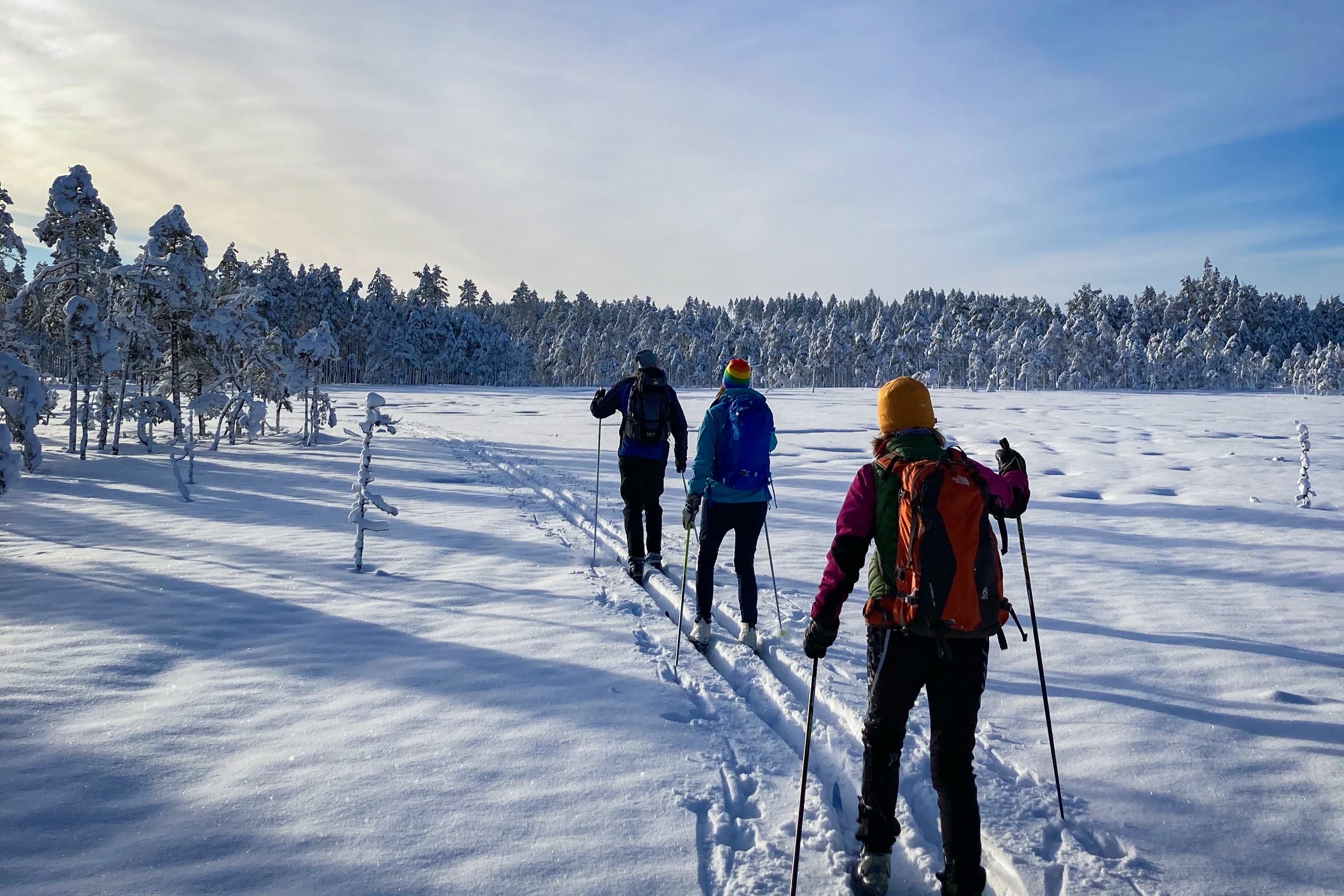 Drie personen maken een langlauftocht onder de zon in het natuurreservaat Malingsbo-Kloten, op een besneeuwd landschap met een bos.