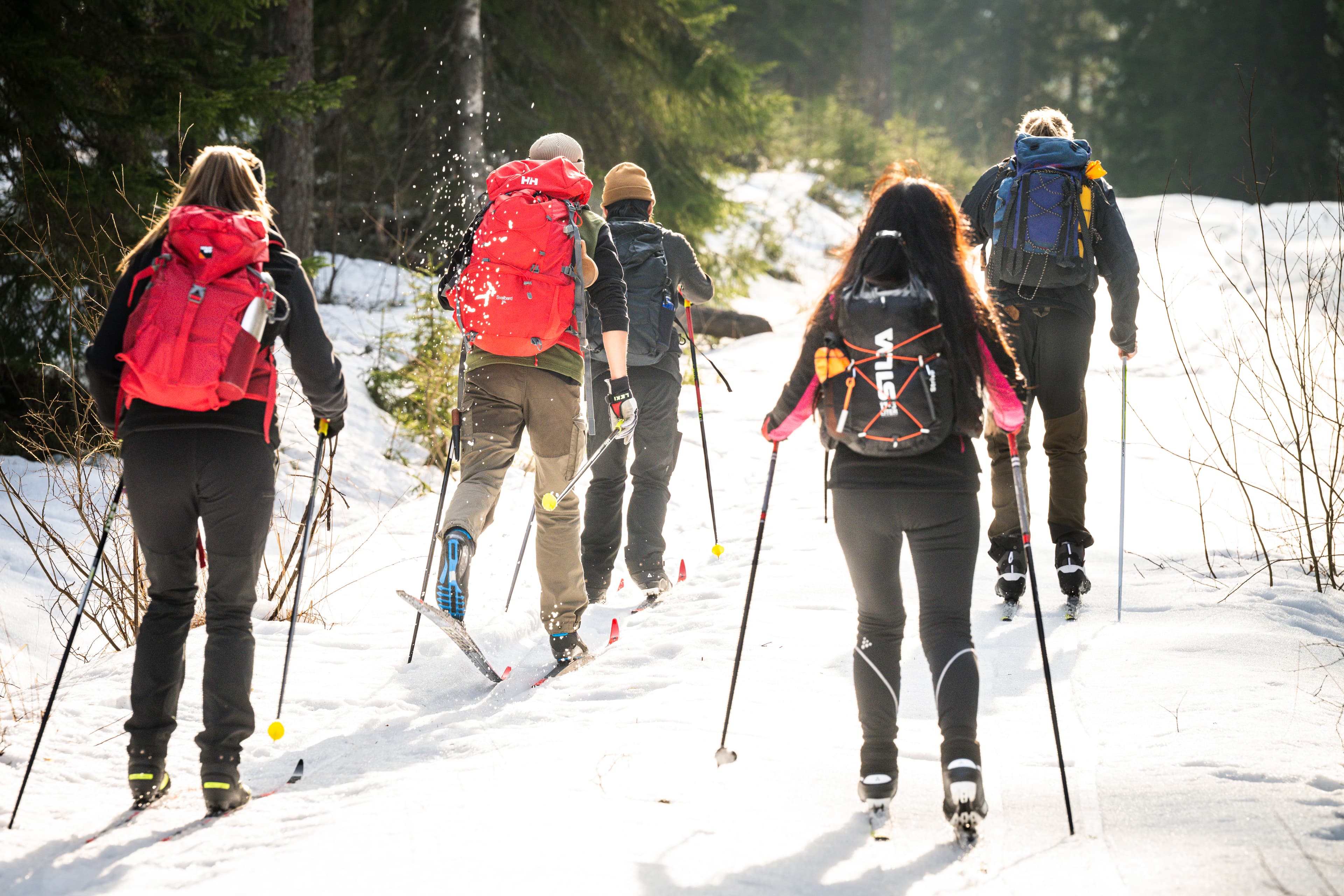 Fünf Skifahrer von hinten auf einem verschneiten Waldweg mit Rucksäcken und Stöcken, Sonnenlicht fällt durch die Bäume.