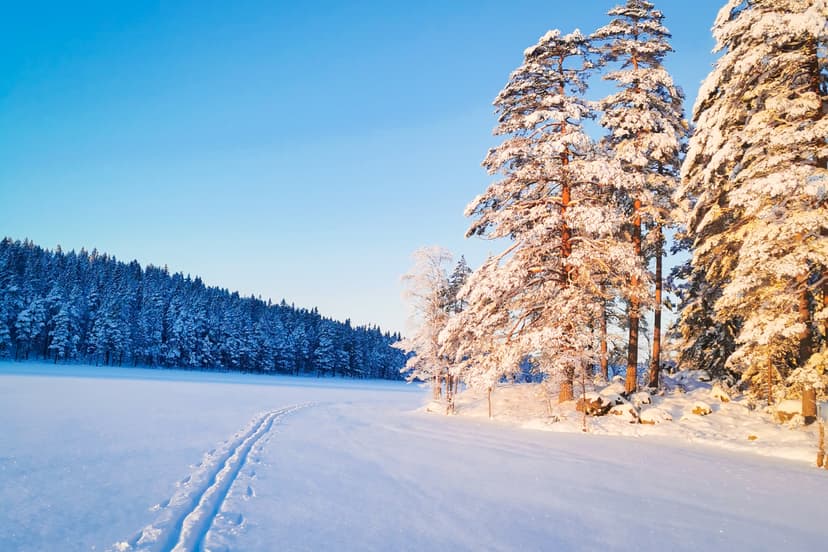Une nouvelle piste de ski de fond traverse le lac gelé, avec le soleil sur les arbres enneigés dans le paysage hivernal.
