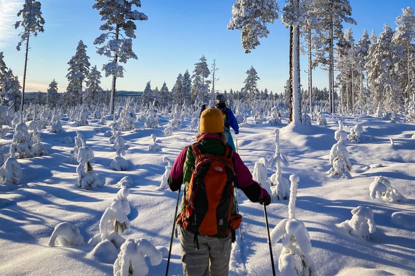 Trois personnes profitent d'une excursion de ski guidée par Nordic Discovery dans la réserve naturelle de Malingsbo-Kloten sous le soleil avec de la neige sur les arbres.