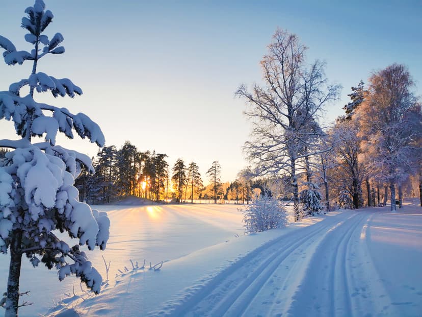 La puesta de sol crea una hermosa escena invernal con huellas frescas de esquí en el paisaje y árboles cubiertos de nieve.