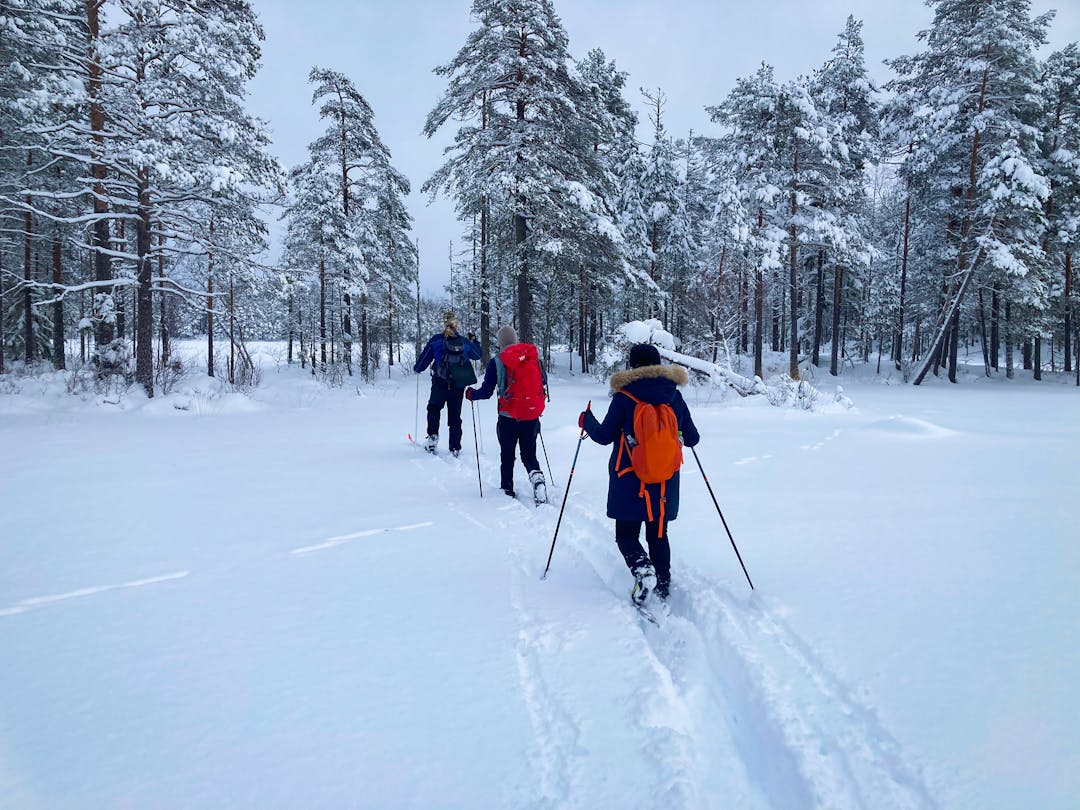 Tres personas están explorando la nieve profunda durante un tour de esquí guiado por Nordic Discovery en la naturaleza salvaje de la reserva natural de Malingsbo-Kloten, Suecia.