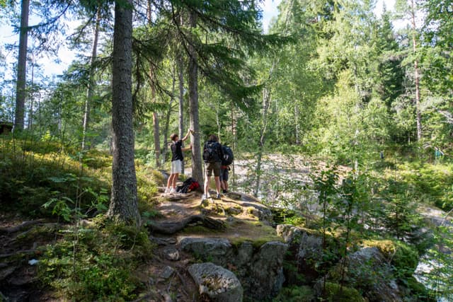 Skräddartorpsfallet