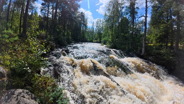 Skräddartorpsfallet