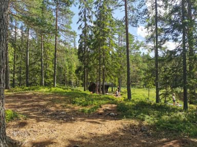 The windshelter at Trätsön