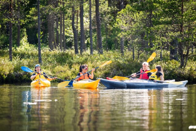 Familjen har en rillig dag med kajakpaddling.