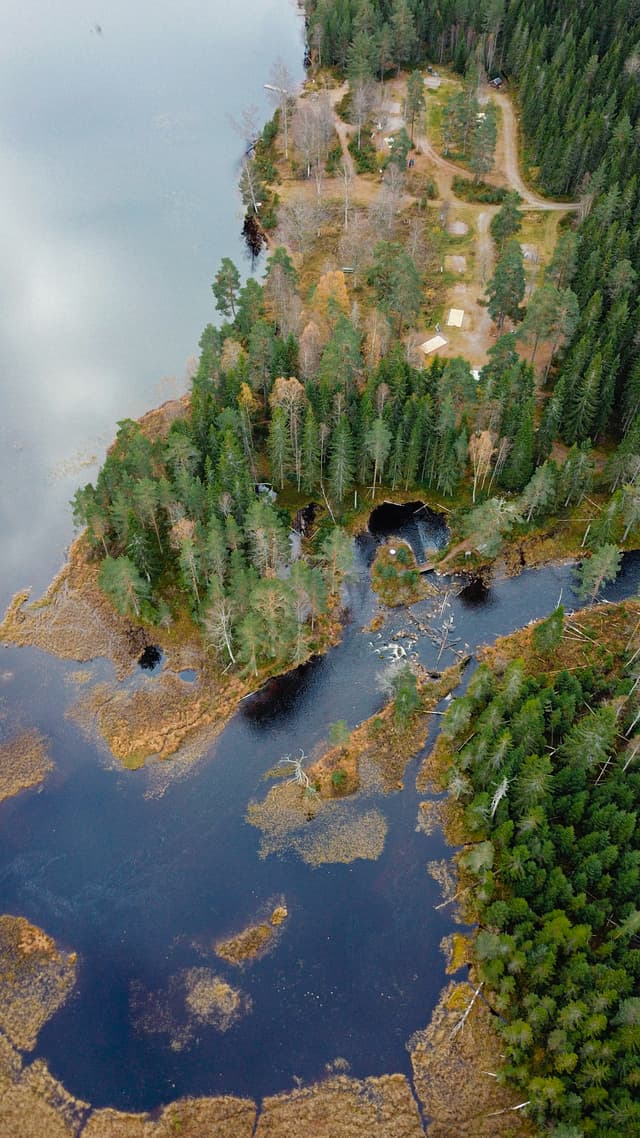 A bird's eye view of the wilderness camping with its swimming area at the lake and a small delta where the river meets the lake.