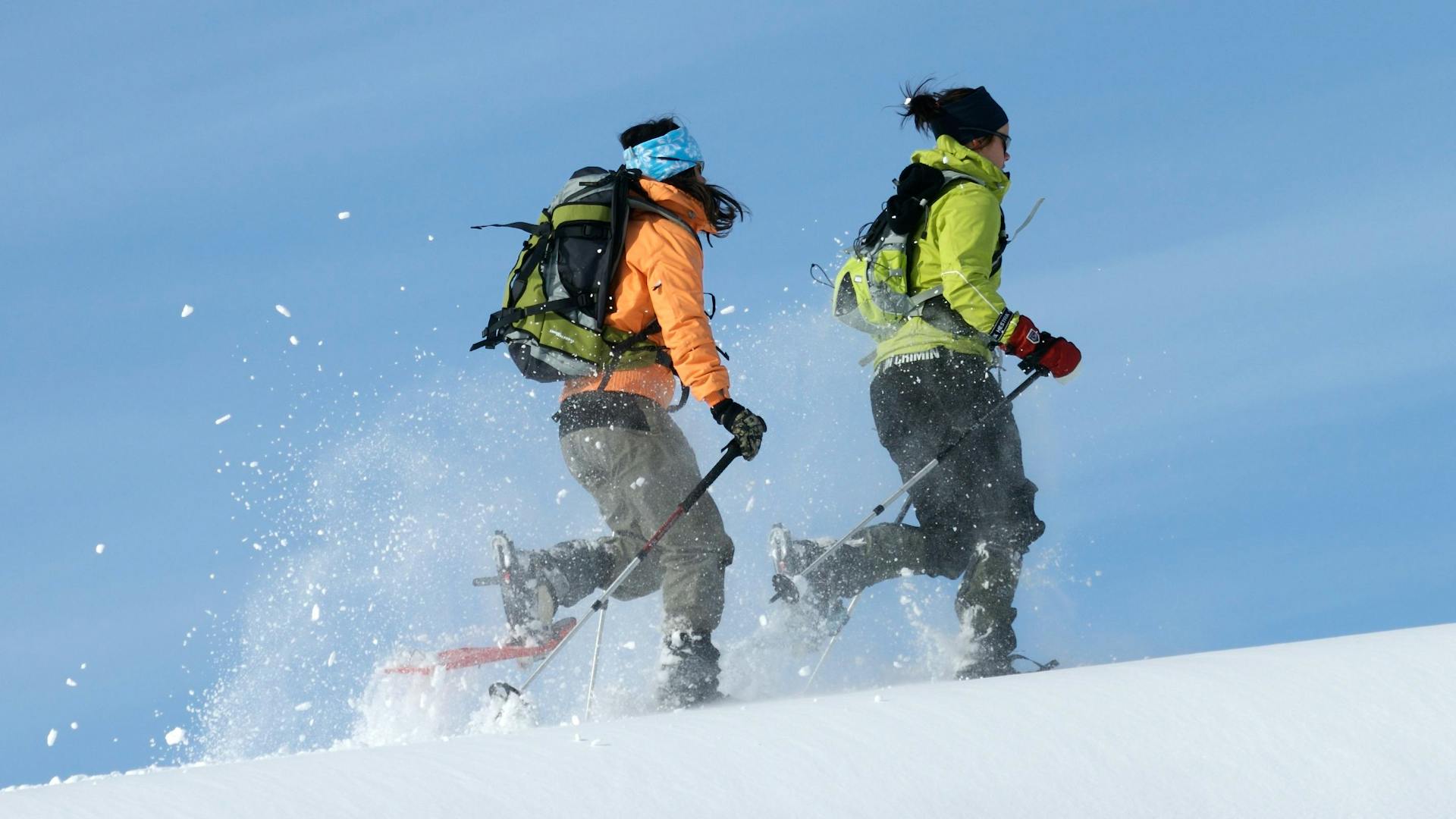 Erleben Sie den Nervenkitzel einer Schneeschuhwanderung, rennend in der Sonne mit umherfliegendem Schnee, mit Nordic Discovery.