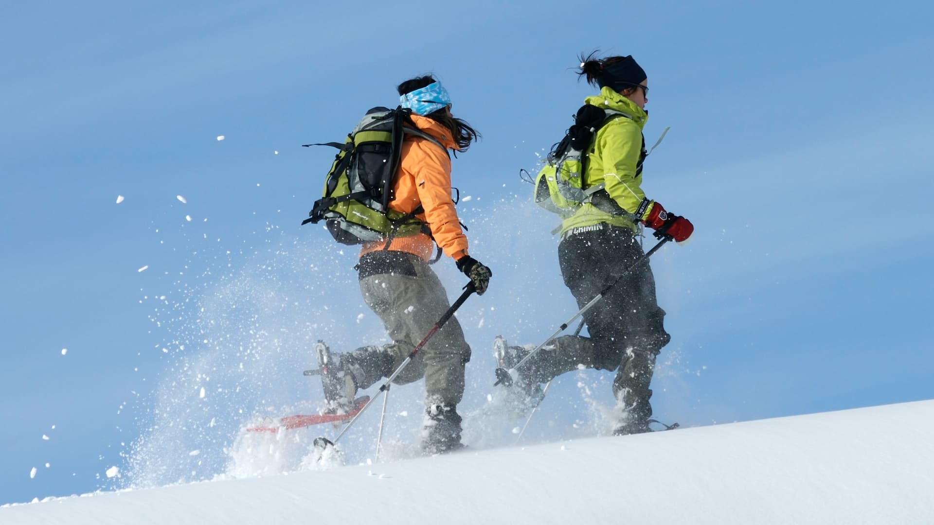 Experimenta la emoción de un tour en raquetas, corriendo bajo el sol con la nieve volando a tu alrededor, con Nordic Discovery.