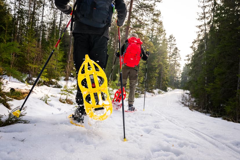 Deux personnes en raquettes sur un sentier enneigé en forêt avec sacs à dos et bâtons ; une raquette jaune soulève de la neige.