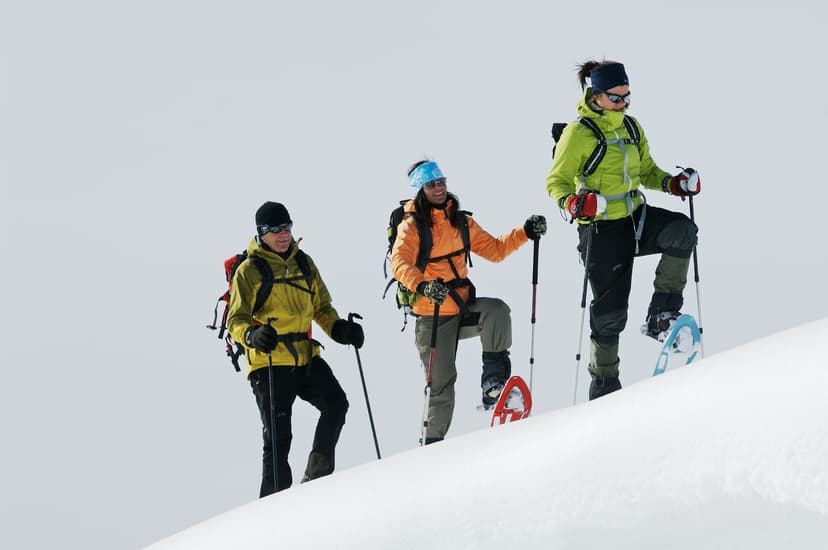 Ein Trio wandert während einer geführten Schneeschuhwanderung im Malingsbo-Kloten Naturreservat den Berg hinauf.