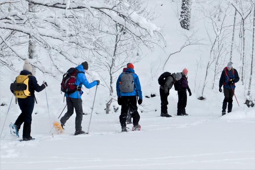 Eine Gruppe geht und beobachtet Spuren während einer Wolfsspürungstour in der Wildnis von Schweden.