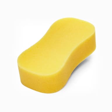 Sponge