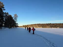 wolftrackingTour Sunday, 12 January 2025