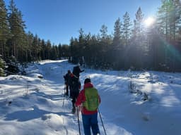 wolftrackingTour Saturday, 14 February 2026