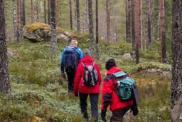 wolftrackingTour Saturday, 14 March 2026