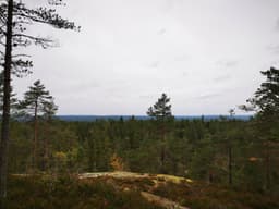 hikingTour Sunday, 05 October 2025