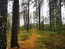 hikingTour Sunday, 05 October 2025