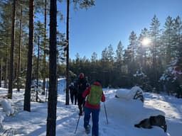 wolftrackingTour Saturday, 14 February 2026