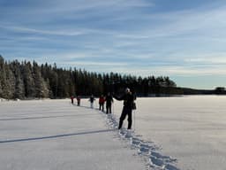 wolftrackingTour Sunday, 12 January 2025