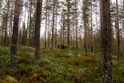 wolftrackingTour Saturday, 14 March 2026