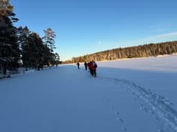 wolftrackingTour Sunday, 12 January 2025