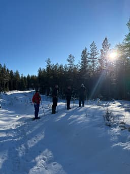 wolftrackingTour Saturday, 14 February 2026