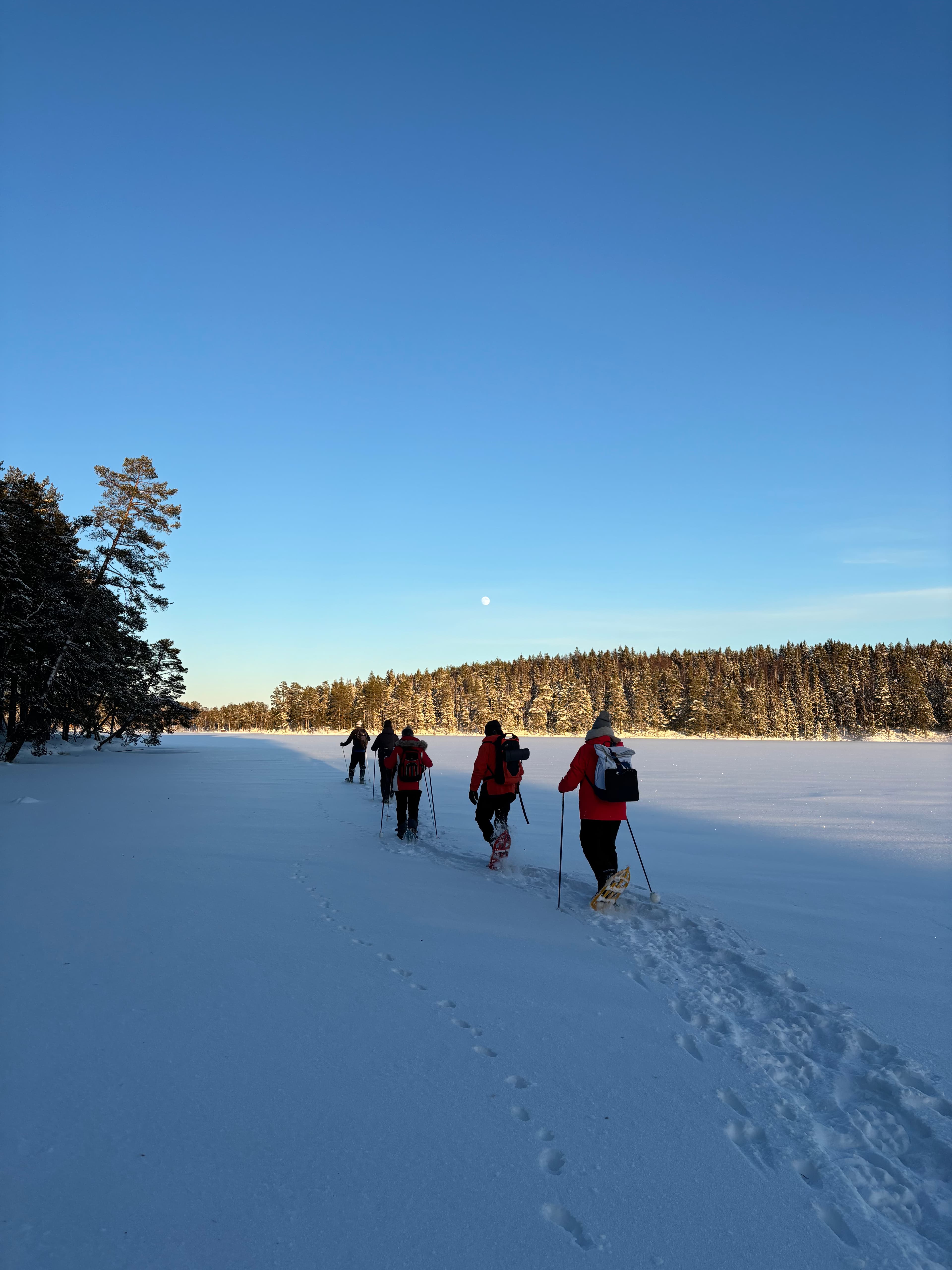Wolftracking Tour