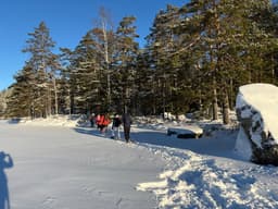 wolftrackingTour Saturday, 11 January 2025