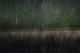 mooseSafari Tuesday, 26 August 2025